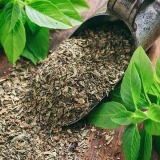 Kako pravilno sušiti bosiljak za zimu u sušilici i drugim uređajima